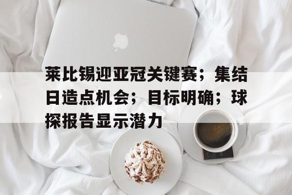 莱比锡迎亚冠关键赛；集结日造点机会；目标明确；球探报告显示潜力的简单介绍